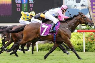 Debt Collector winning the Raffles Cup. Photo: STC
